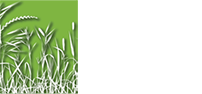 Prairie Center Arts Foundation